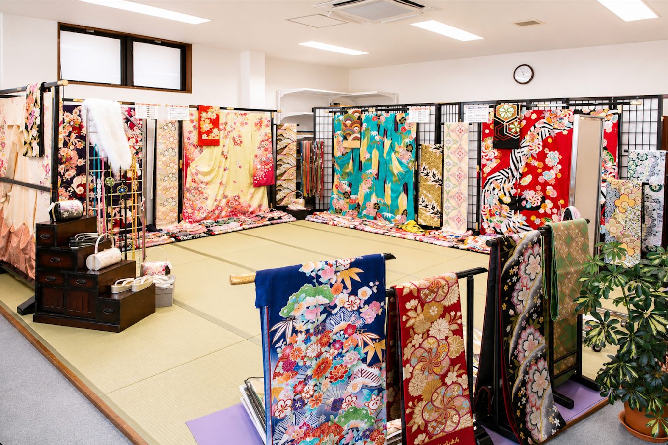 赤、白、くすみカラー、紺などの振袖が並ぶ郡山市の店内ラインナップ